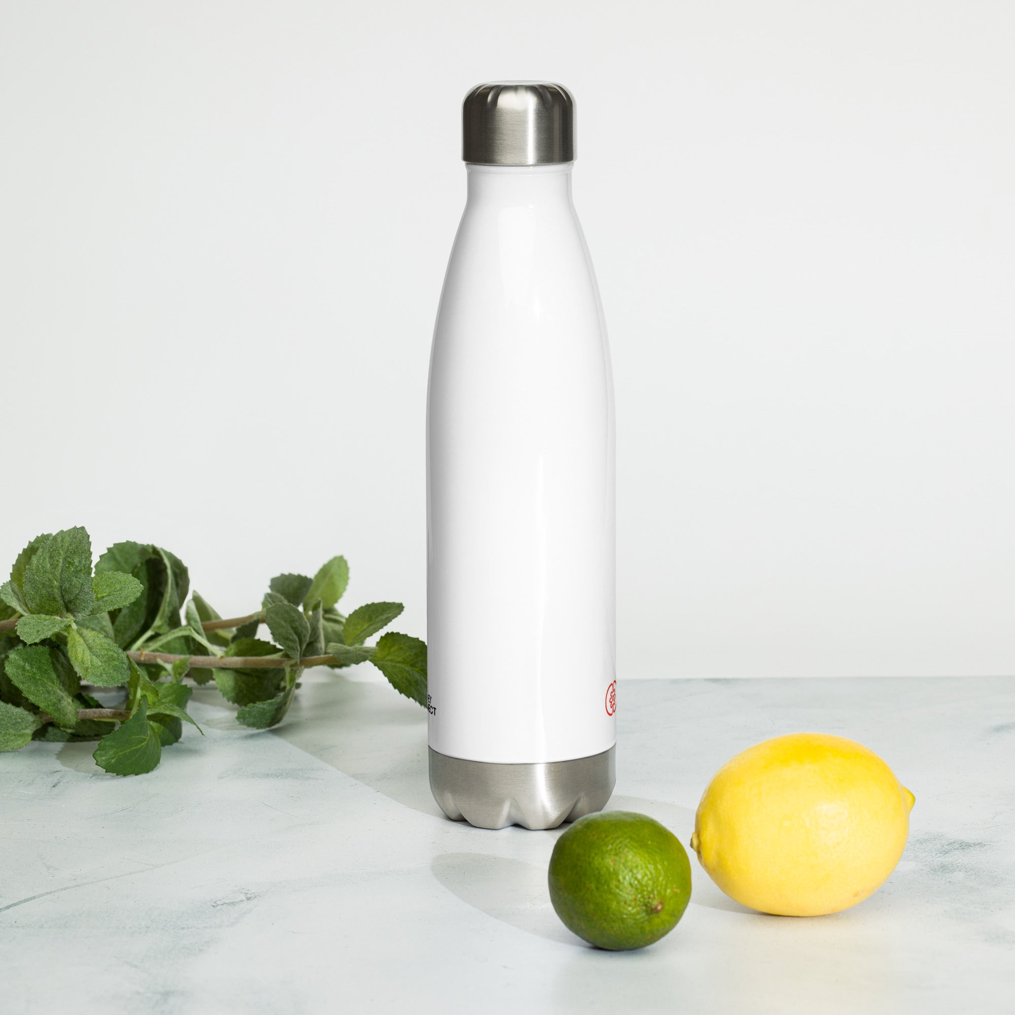 Stainless Steel Water Bottle